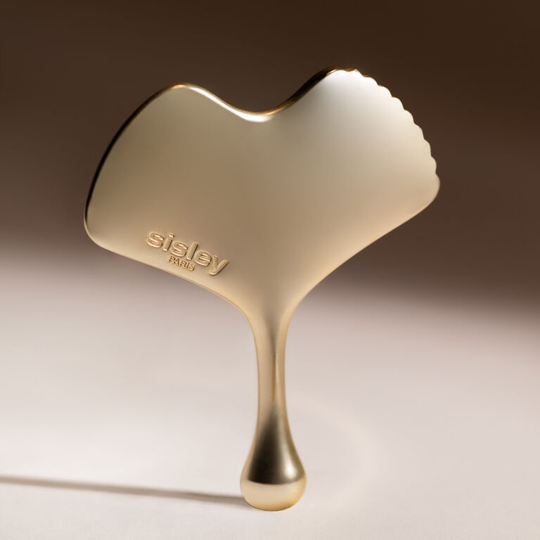 Ginkgo Gua Sha